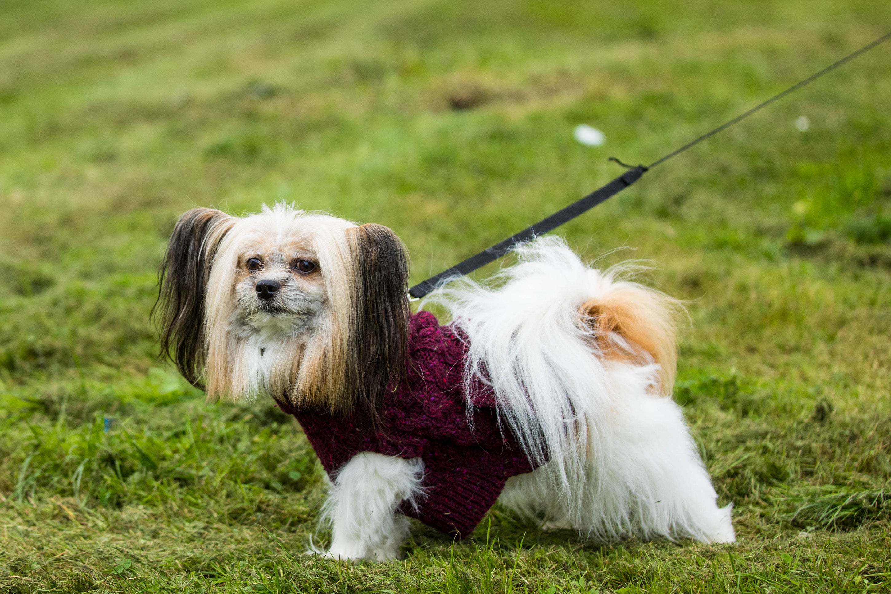 Snugí Madra
