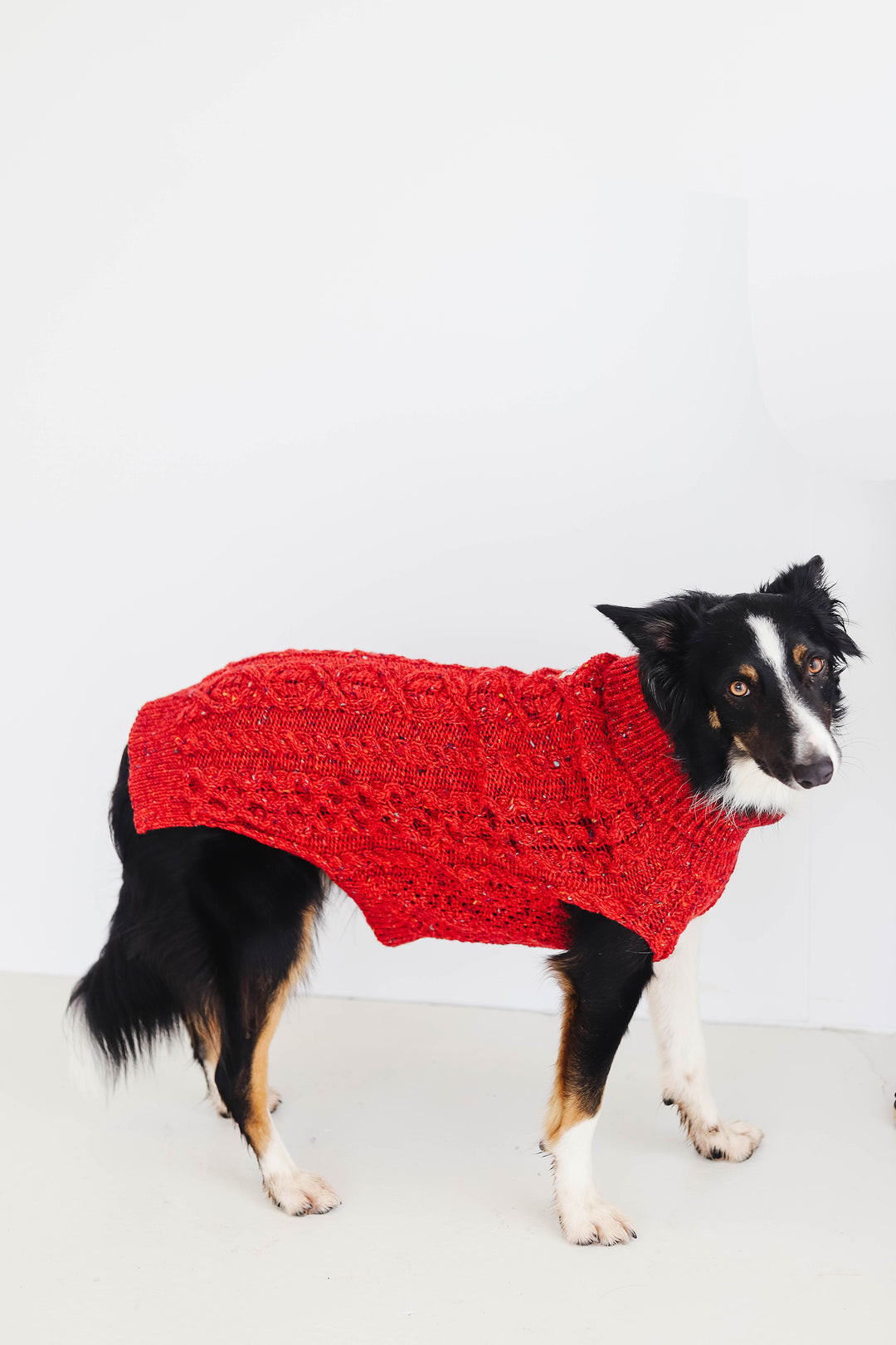 Knitted Aran Polo Neck Dog Sweater in Kilcarra Tweed Wool with Slots for Lead and Harness